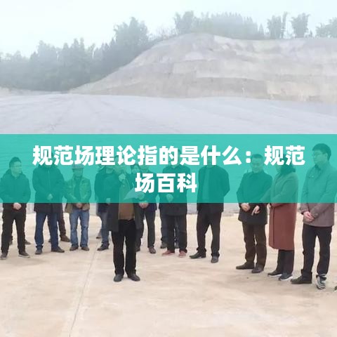 规范场理论指的是什么：规范场百科 
