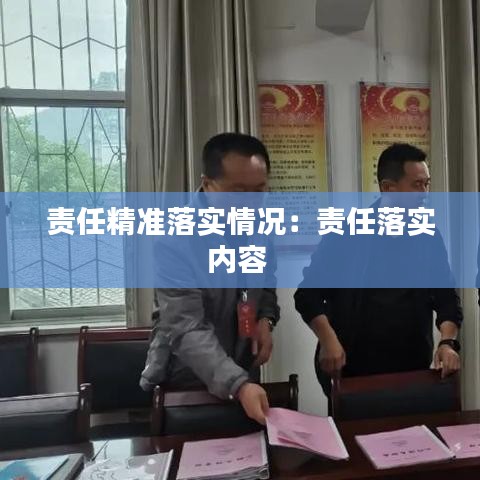 责任精准落实情况：责任落实内容 