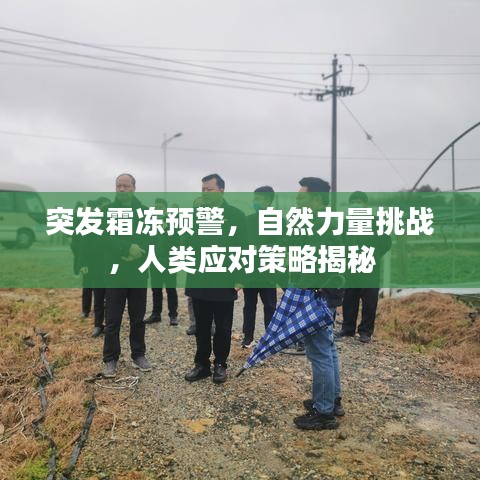 精雕细刻 第2页