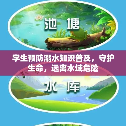 学生预防溺水知识普及，守护生命，远离水域危险