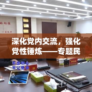 深化党内交流，强化党性锤炼——专题民主生活会组织与推进纪实