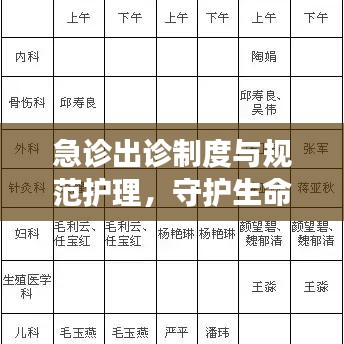 急诊出诊制度与规范护理，守护生命的紧急救援行动