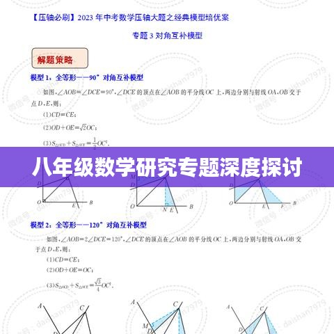 八年级数学研究专题深度探讨