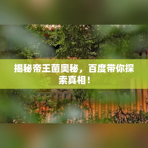 揭秘帝王菌奥秘，百度带你探索真相！