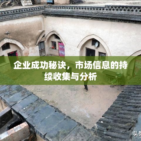 企业成功秘诀，市场信息的持续收集与分析