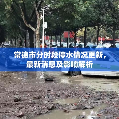 见缝就钻
