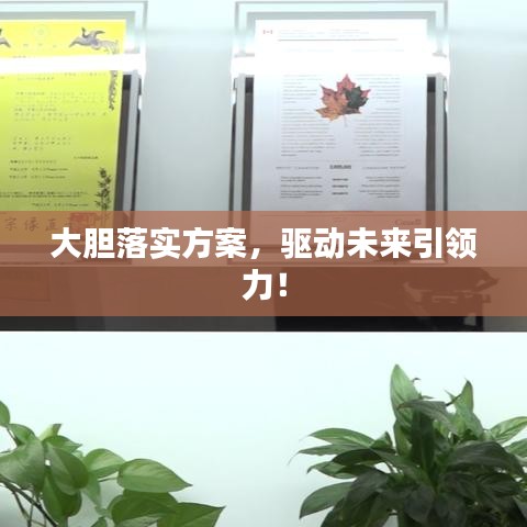 大胆落实方案，驱动未来引领力！
