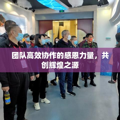 团队高效协作的感恩力量，共创辉煌之源