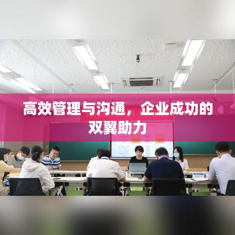 高效管理与沟通，企业成功的双翼助力