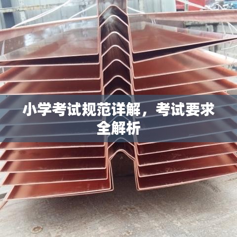 小学考试规范详解，考试要求全解析