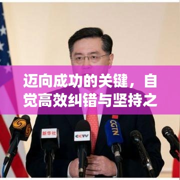迈向成功的关键，自觉高效纠错与坚持之道