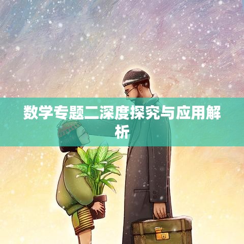数学专题二深度探究与应用解析