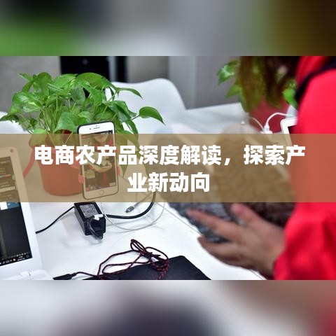 电商农产品深度解读，探索产业新动向