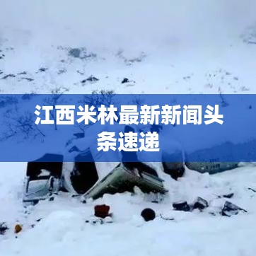 江西米林最新新闻头条速递