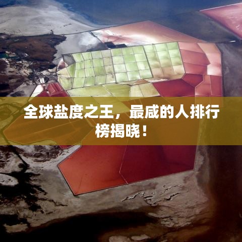 全球盐度之王，最咸的人排行榜揭晓！