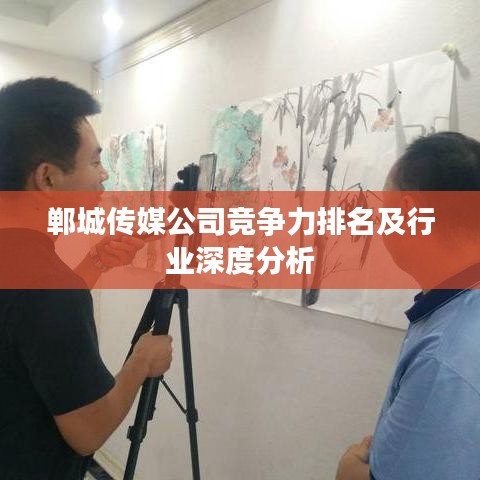 郸城传媒公司竞争力排名及行业深度分析