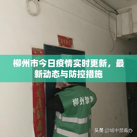 柳州市今日疫情实时更新，最新动态与防控措施