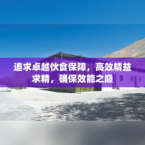 追求卓越伙食保障，高效精益求精，确保效能之巅