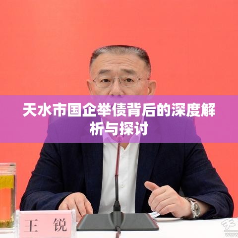 天水市国企举债背后的深度解析与探讨