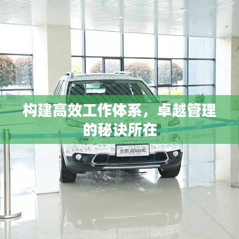 构建高效工作体系，卓越管理的秘诀所在