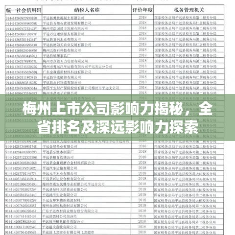 梅州上市公司影响力揭秘，全省排名及深远影响力探索