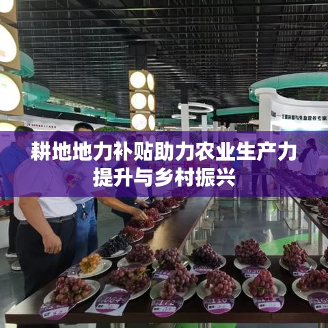 耕地地力补贴助力农业生产力提升与乡村振兴