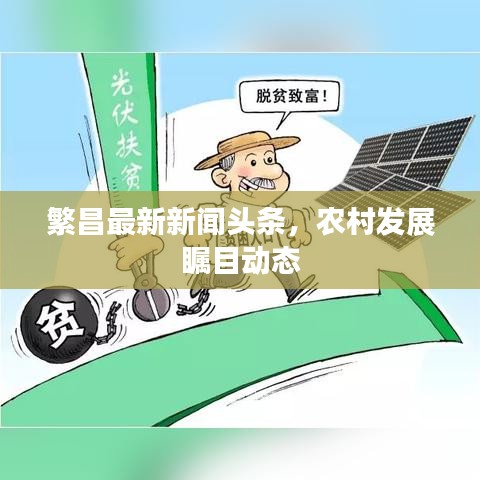 鸟飞兔走