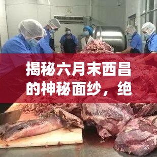 揭秘六月末西昌的神秘面纱，绝美旅游攻略！