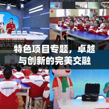 特色项目专题，卓越与创新的完美交融