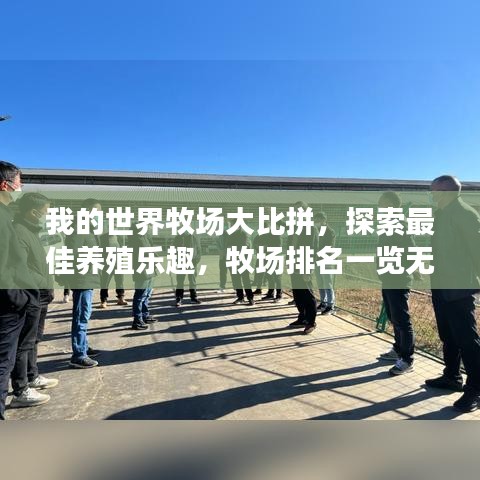 我的世界牧场大比拼，探索最佳养殖乐趣，牧场排名一览无余！