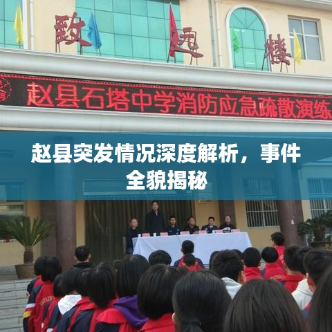 赵县突发情况深度解析，事件全貌揭秘