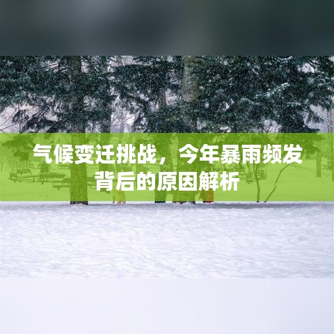 气候变迁挑战，今年暴雨频发背后的原因解析