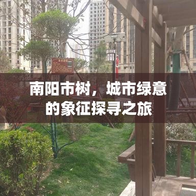 南阳市树，城市绿意的象征探寻之旅