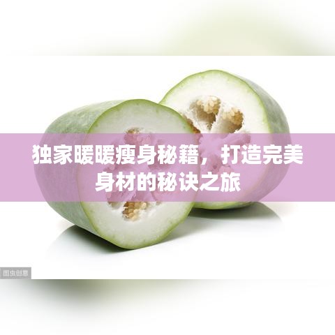 独家暖暖瘦身秘籍，打造完美身材的秘诀之旅