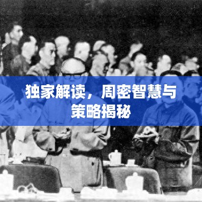 独家解读，周密智慧与策略揭秘