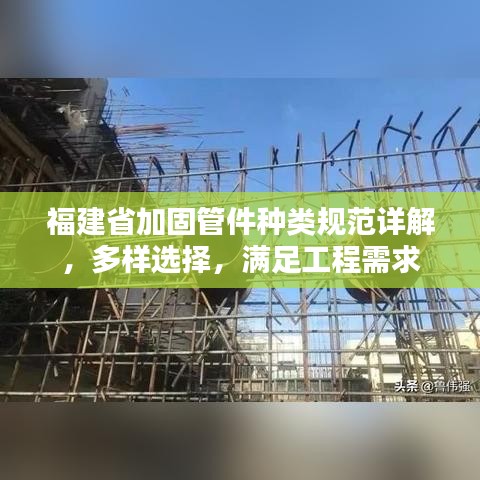 鸟入樊笼