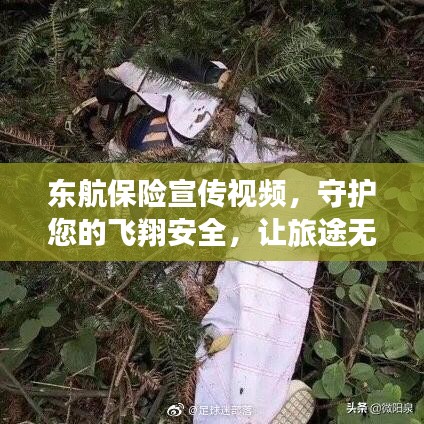 东航保险宣传视频，守护您的飞翔安全，让旅途无忧！