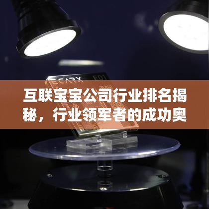 互联宝宝公司行业排名揭秘，行业领军者的成功奥秘探索
