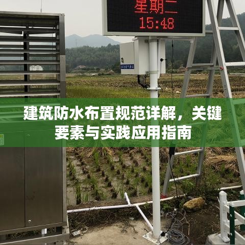 映月读书