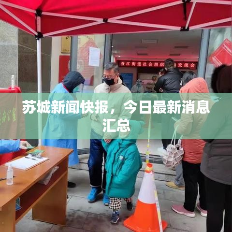 苏城新闻快报，今日最新消息汇总