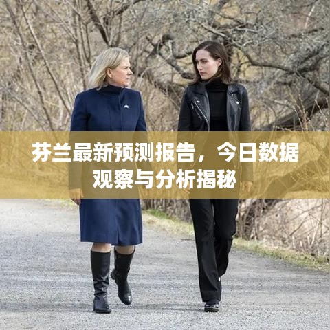 芬兰最新预测报告，今日数据观察与分析揭秘