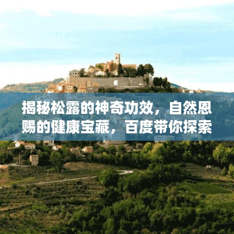 揭秘松露的神奇功效，自然恩赐的健康宝藏，百度带你探索！