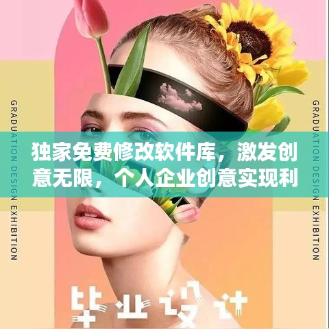 独家免费修改软件库，激发创意无限，个人企业创意实现利器