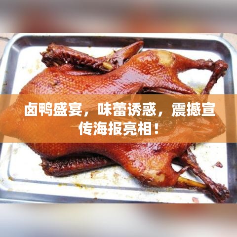 卤鸭盛宴，味蕾诱惑，震撼宣传海报亮相！