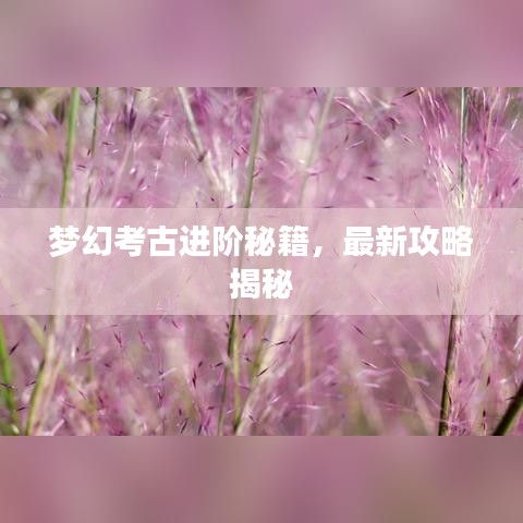梦幻考古进阶秘籍，最新攻略揭秘
