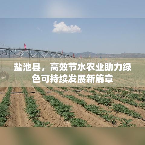 草创未就