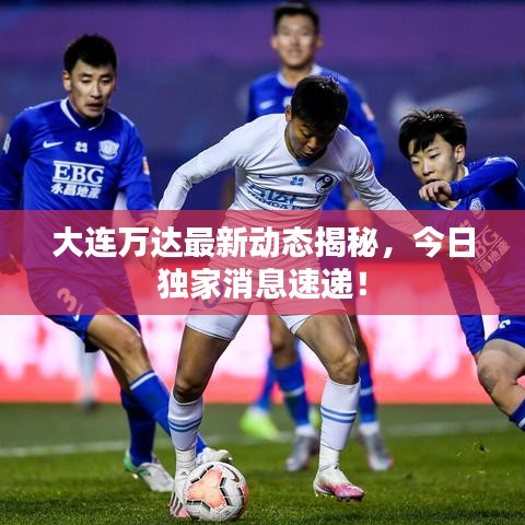 新闻中心 第11页