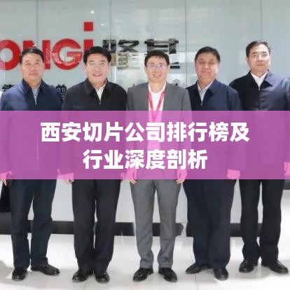 西安切片公司排行榜及行业深度剖析
