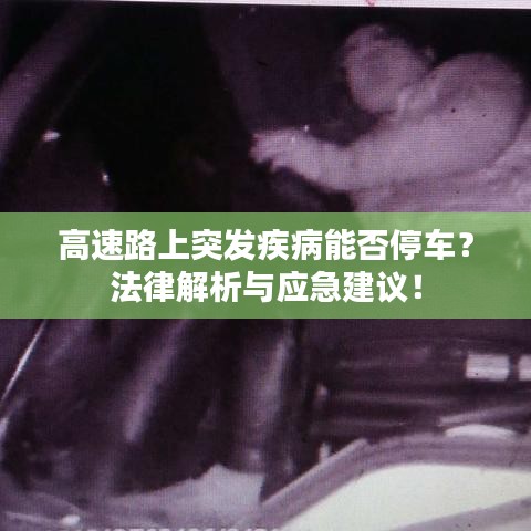 新闻中心 第10页