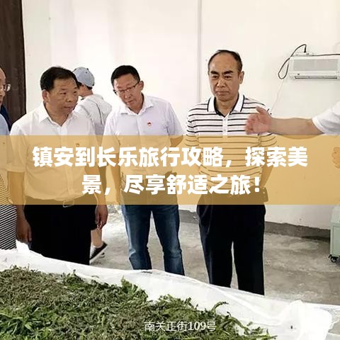 镇安到长乐旅行攻略，探索美景，尽享舒适之旅！